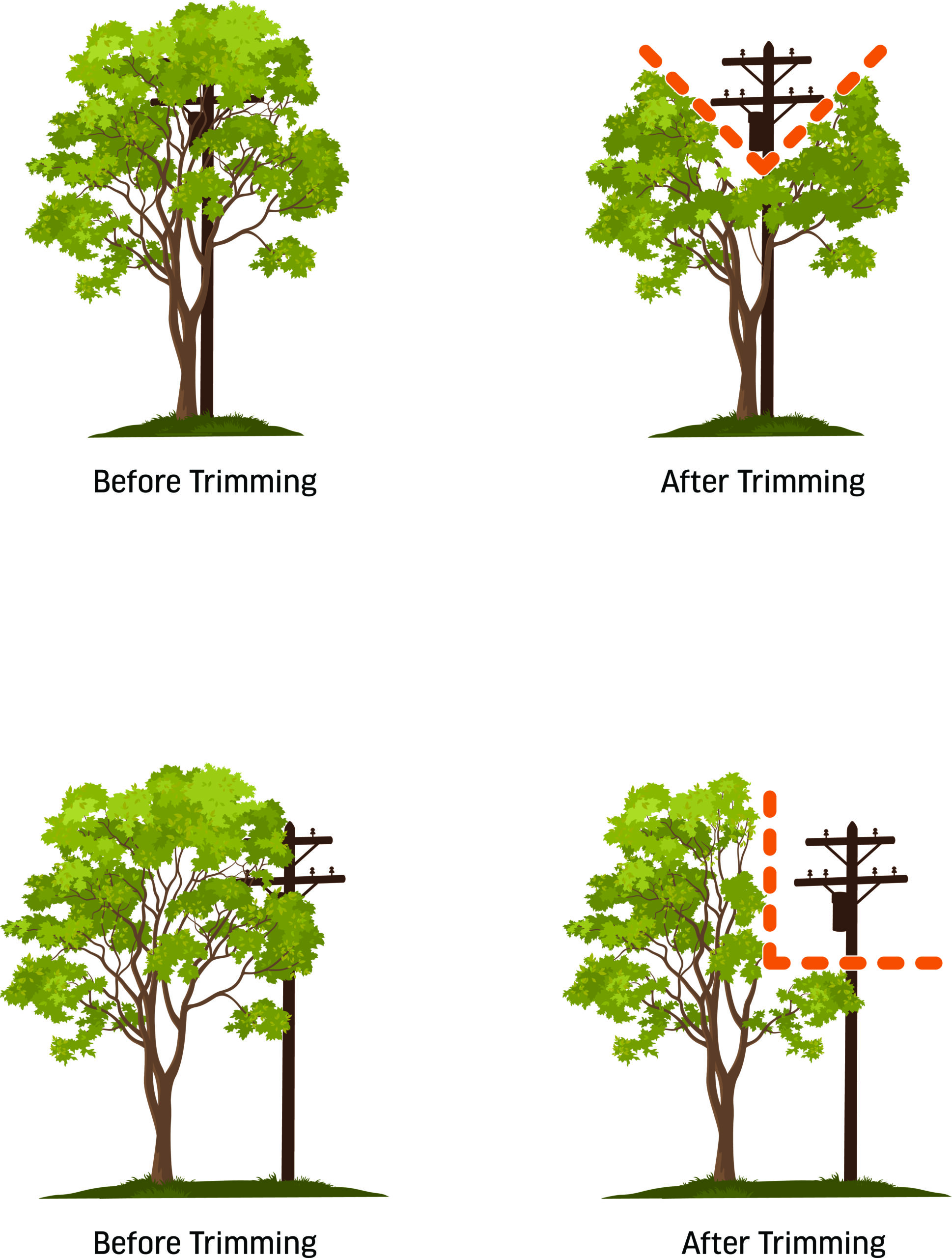 Lateral Trimming